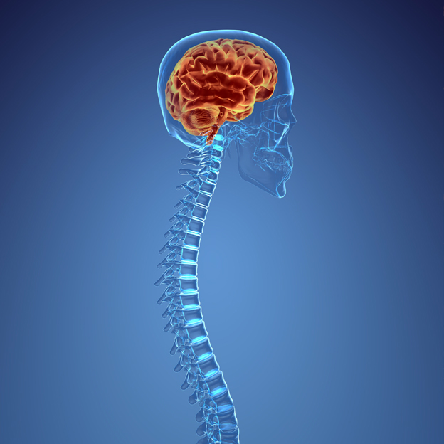 Neurosurgery-Blog-Spine